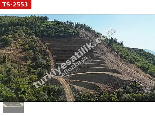 HASDERE MAHALLESİNDE SATILIK 7 DÖNÜM TARLA