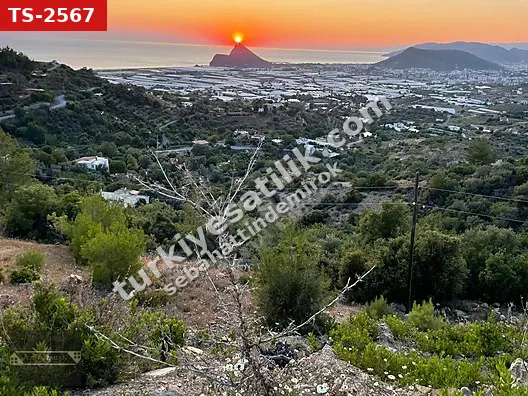 GAZİPAŞA KORU MAHALLESİNDE FUL DENİZ MANZARALI İMARLI VİLLAARAZİ