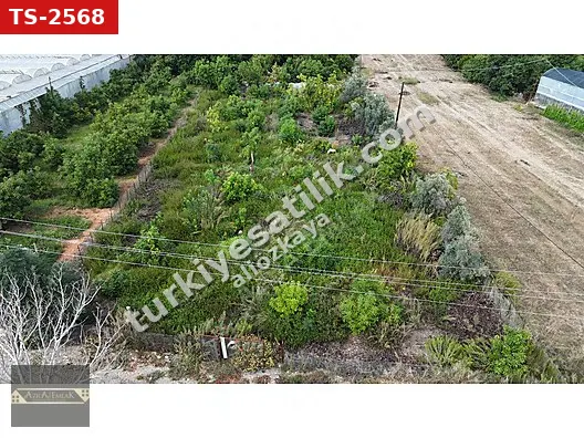EKMEL MAHALLESİNDE 1800m2 AVOKADO BAHÇESİ
